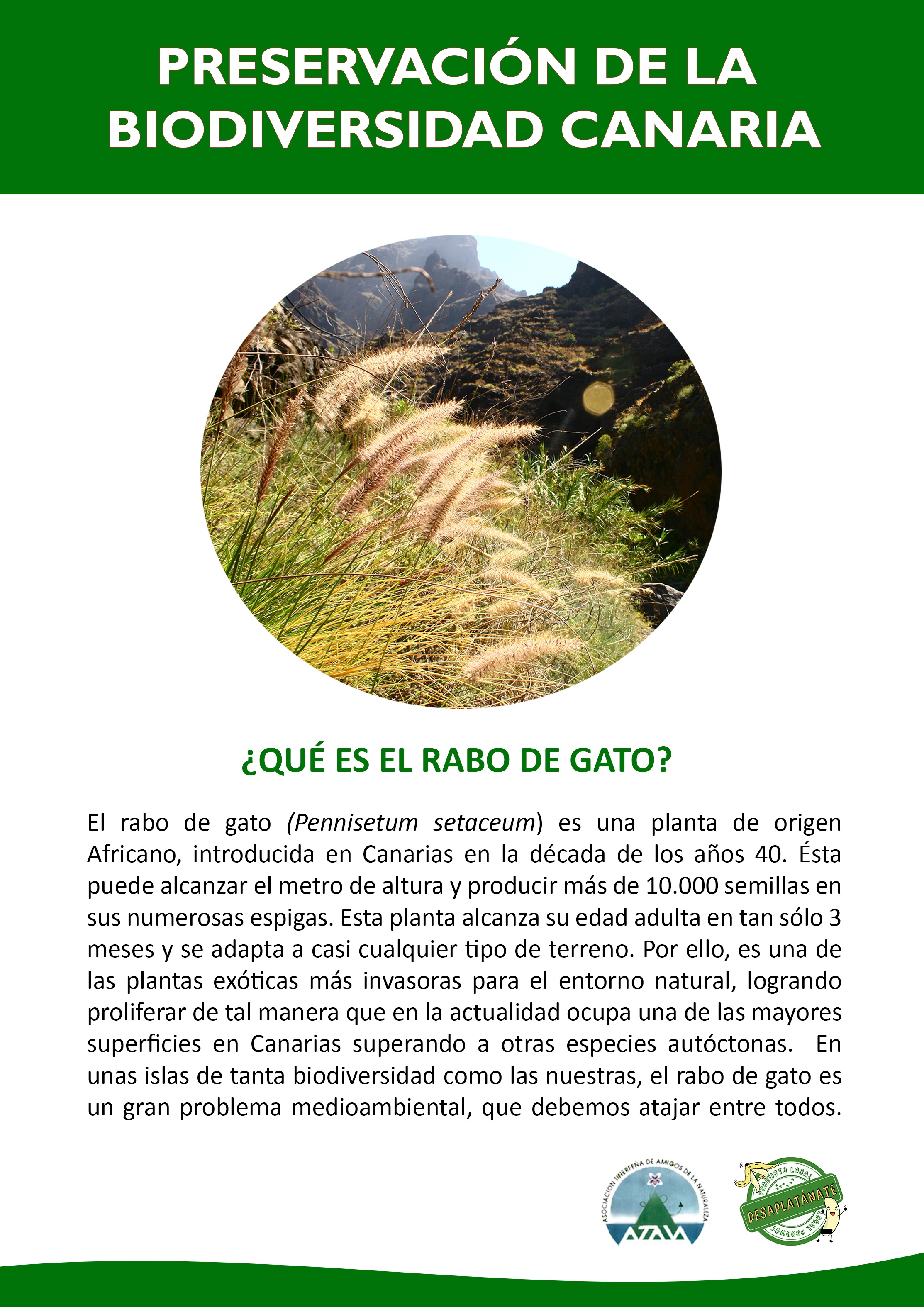 1DEFINITIVO PARTE DELANTERA atan y desa - copia